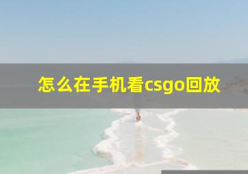 怎么在手机看csgo回放