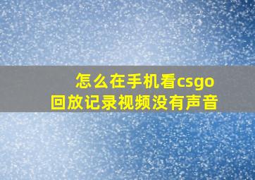 怎么在手机看csgo回放记录视频没有声音