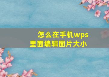 怎么在手机wps里面编辑图片大小