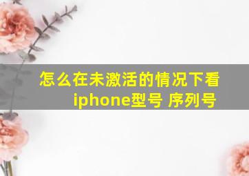 怎么在未激活的情况下看iphone型号 序列号