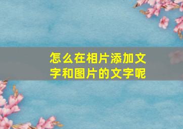 怎么在相片添加文字和图片的文字呢