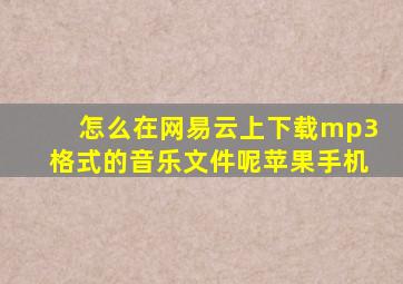 怎么在网易云上下载mp3格式的音乐文件呢苹果手机