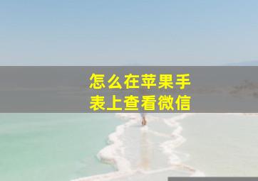 怎么在苹果手表上查看微信