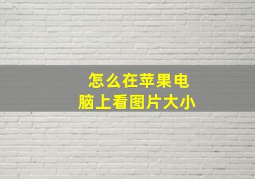 怎么在苹果电脑上看图片大小