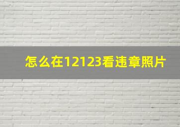 怎么在12123看违章照片