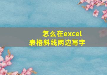 怎么在excel表格斜线两边写字