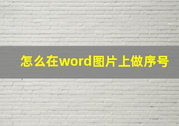 怎么在word图片上做序号