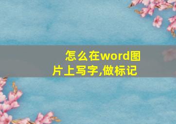 怎么在word图片上写字,做标记