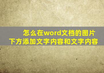 怎么在word文档的图片下方添加文字内容和文字内容