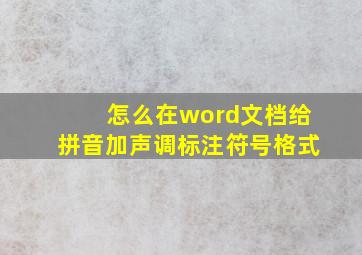 怎么在word文档给拼音加声调标注符号格式