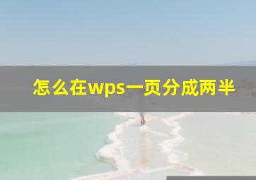 怎么在wps一页分成两半