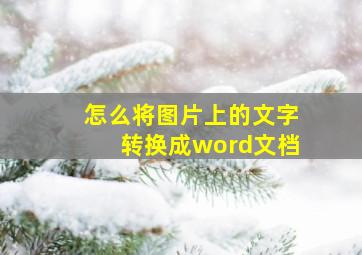 怎么将图片上的文字转换成word文档