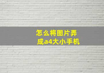 怎么将图片弄成a4大小手机