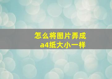 怎么将图片弄成a4纸大小一样