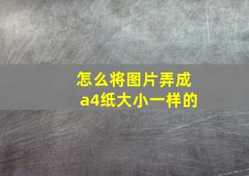 怎么将图片弄成a4纸大小一样的