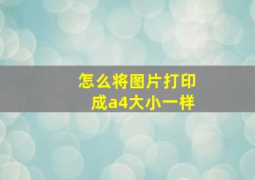 怎么将图片打印成a4大小一样