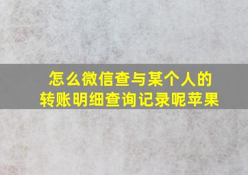 怎么微信查与某个人的转账明细查询记录呢苹果