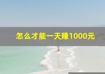 怎么才能一天赚1000元