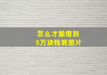 怎么才能借到5万块钱呢图片