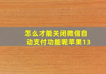 怎么才能关闭微信自动支付功能呢苹果13