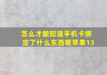 怎么才能知道手机卡绑定了什么东西呢苹果13