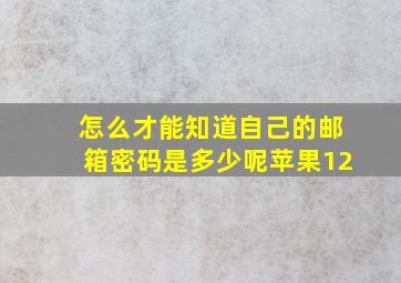 怎么才能知道自己的邮箱密码是多少呢苹果12