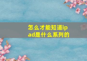 怎么才能知道ipad是什么系列的