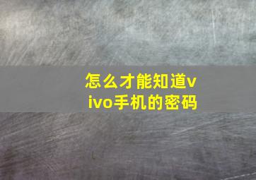 怎么才能知道vivo手机的密码