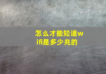 怎么才能知道wifi是多少兆的