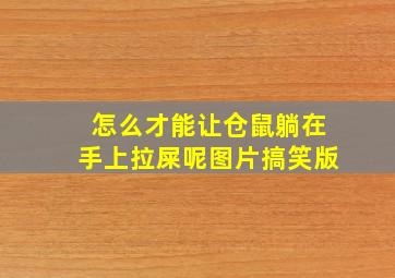 怎么才能让仓鼠躺在手上拉屎呢图片搞笑版