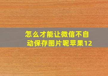 怎么才能让微信不自动保存图片呢苹果12