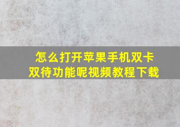 怎么打开苹果手机双卡双待功能呢视频教程下载