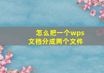 怎么把一个wps文档分成两个文件