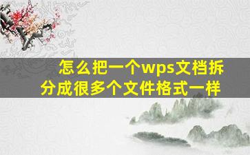 怎么把一个wps文档拆分成很多个文件格式一样