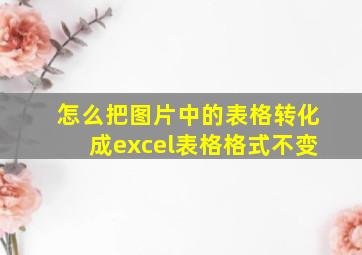 怎么把图片中的表格转化成excel表格格式不变