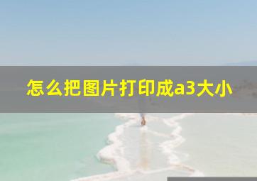 怎么把图片打印成a3大小