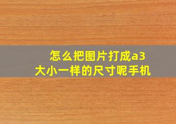 怎么把图片打成a3大小一样的尺寸呢手机