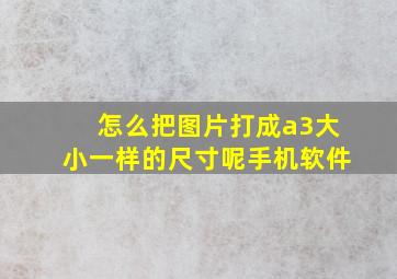 怎么把图片打成a3大小一样的尺寸呢手机软件