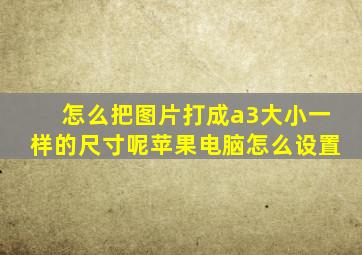 怎么把图片打成a3大小一样的尺寸呢苹果电脑怎么设置