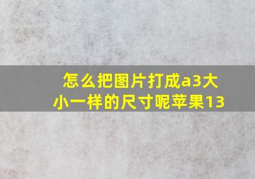 怎么把图片打成a3大小一样的尺寸呢苹果13