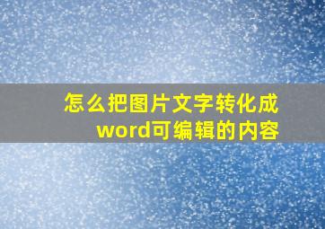 怎么把图片文字转化成word可编辑的内容