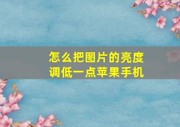 怎么把图片的亮度调低一点苹果手机