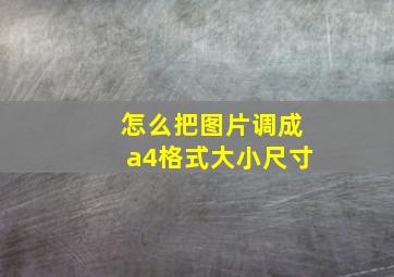 怎么把图片调成a4格式大小尺寸