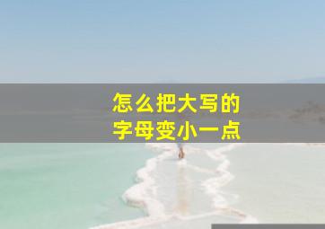 怎么把大写的字母变小一点