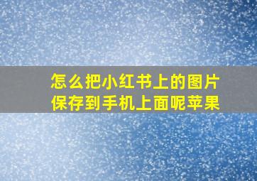 怎么把小红书上的图片保存到手机上面呢苹果