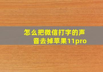 怎么把微信打字的声音去掉苹果11pro