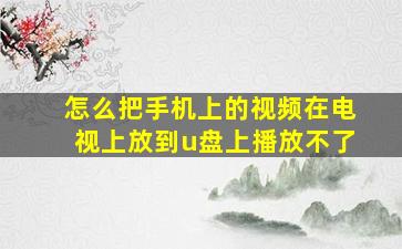 怎么把手机上的视频在电视上放到u盘上播放不了