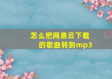 怎么把网易云下载的歌曲转到mp3