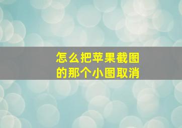 怎么把苹果截图的那个小图取消