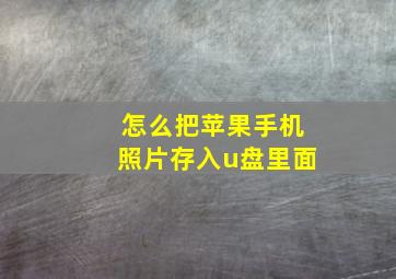 怎么把苹果手机照片存入u盘里面